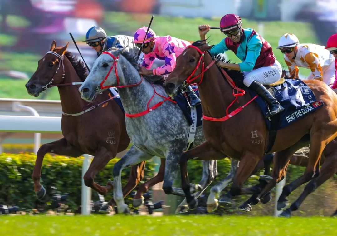 天博官网-国际体育盛事！足球场上逐鹿电焰